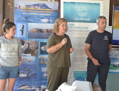 Presentación del Proyecto Cabo Rorcual
